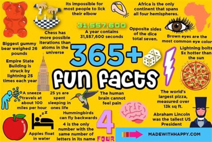 Discovering The Hidden Gems: Fun Facts About Me