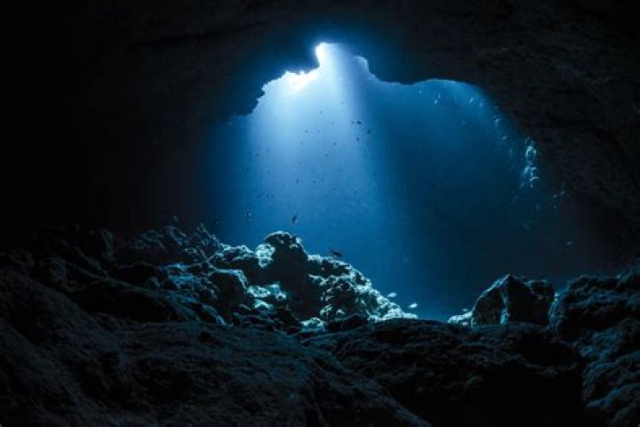 Dive Into The Depths Of Laughter: Hilarious Mermaid Quotes